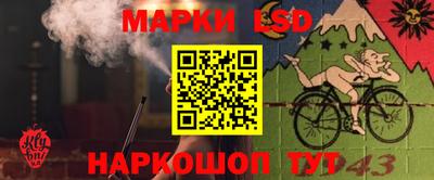 герыч Донецк