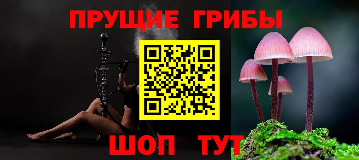 Михайловка  Галлюциногенные грибы мицелий  Вход с VPN 